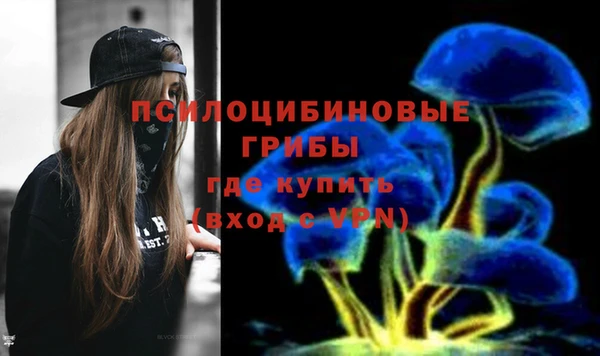 амф Приозерск